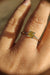 Vivid Round Brilliant Yellow Diamond Engagement Ring in Platinum-The Diamond Setter