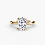 Solitaire ring 2-setting-The Diamond Setter