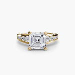 Solitaire with Pavé 2-setting-The Diamond Setter