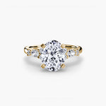 The Floral Accent Solitaire-setting-The Diamond Setter