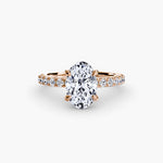 Solitaire with Pavé 6-setting-The Diamond Setter