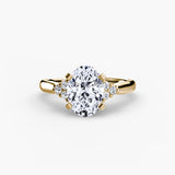 Solitaire with Cluster Shoulders 2-setting-The Diamond Setter