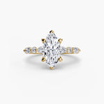 Solitaire with Eternity Pavé 2-setting-The Diamond Setter