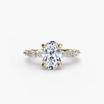 Solitaire with Eternity Pavé 2-setting-The Diamond Setter
