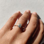 Diamond Solitaire Ring in dainty round band-The Diamond Setter