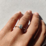 Diamond Solitaire Ring in dainty round band-The Diamond Setter